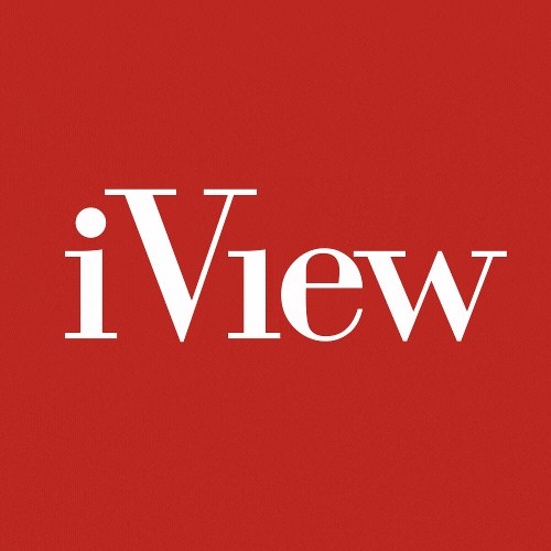 iView Labs Pvt Ltd. - Providing Odoo WIX Webflow Oracle Apex and AI Engineers logo
